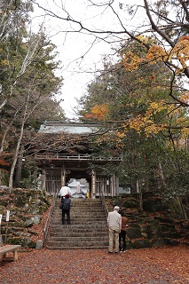 紅葉情報 香川県 さぬき市