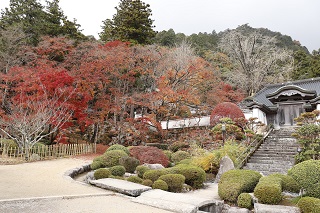 紅葉情報 香川県 さぬき市