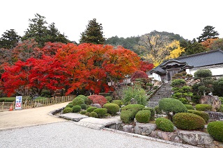 大窪寺紅葉