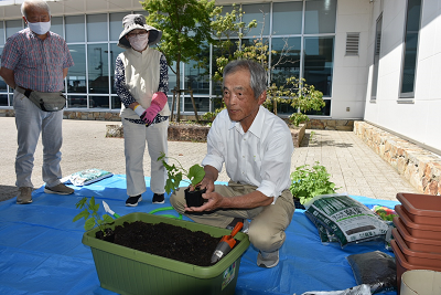 緑のカーテン育成講習会の様子